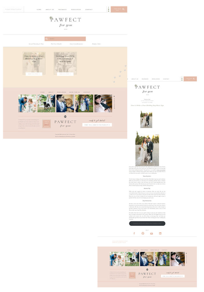 hoffman-creative-co-website-template-customization-pawfect-for-you-blog